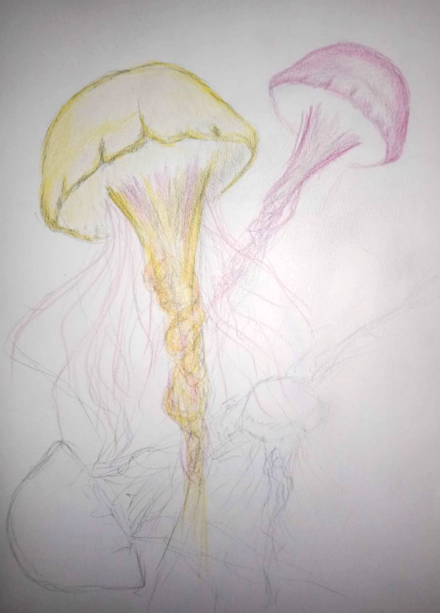 AnthonyDestratis 2020 09 10 10 46 23