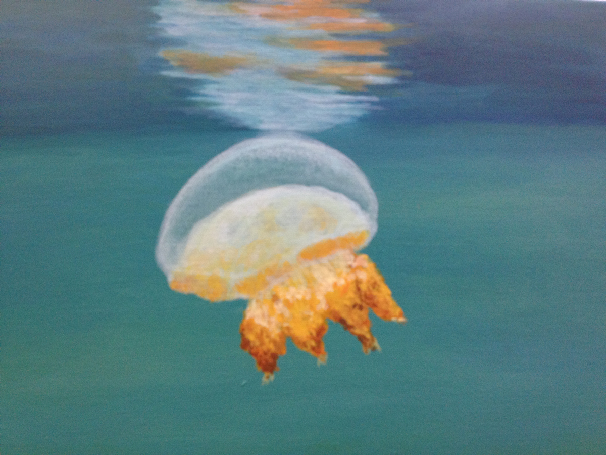 Lenny 2020 09 02 7 50 48