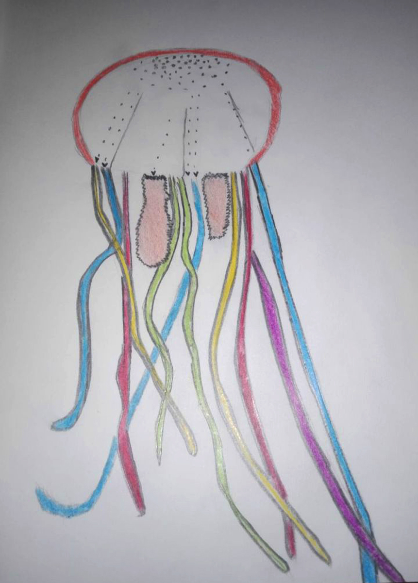 SiennaDeStratis 2020 09 10 10 50 10